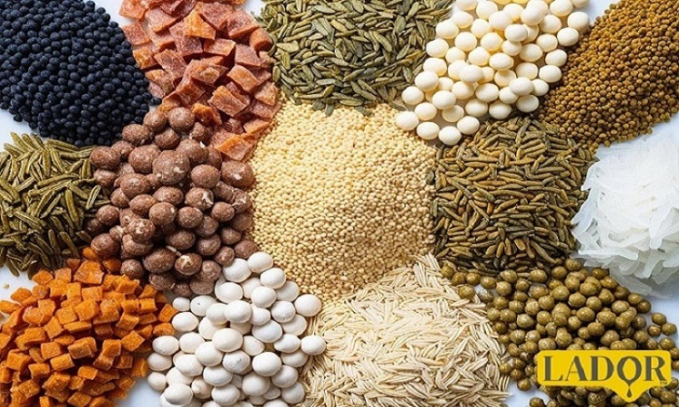 Photo related to the article Aquatic feed and its types