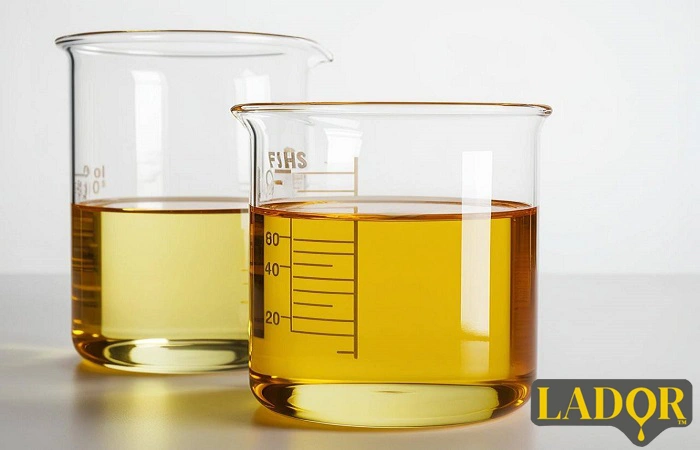 Photo related to the harm and effects of hydrogenated chicken oil