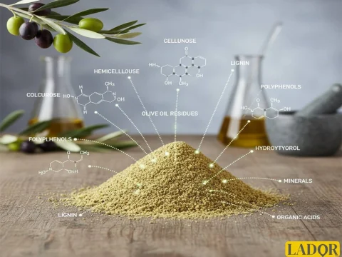 Photo related to the article Olive meal