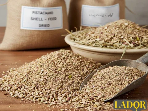 Photo related to pistachio shell granules article