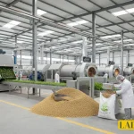 The photo related to the article of livestock and poultry corn sprouts